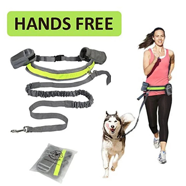 hands-free dog leash with waist belt 