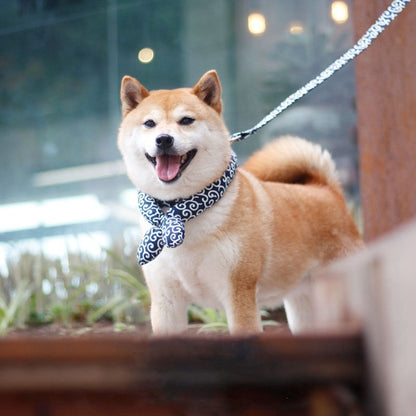 Japanese Pet Collar – Traditional Cotton Turban for Dogs