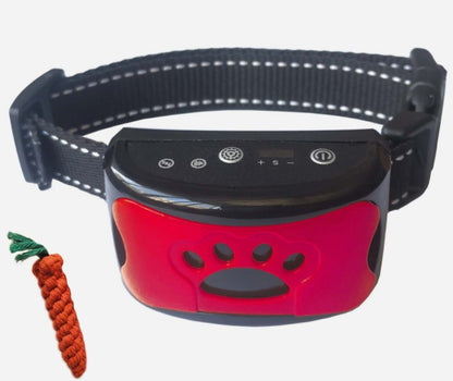 best dog training collar with remote control