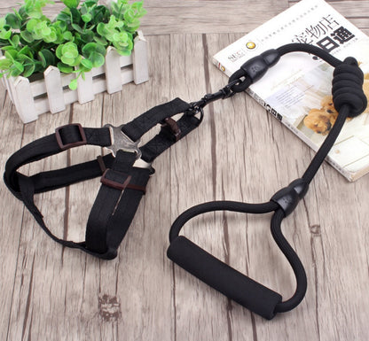 dog chain leash with collar and chest harness