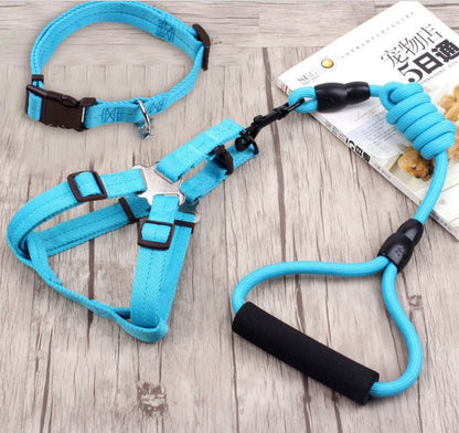 dog chain leash with collar and chest harness