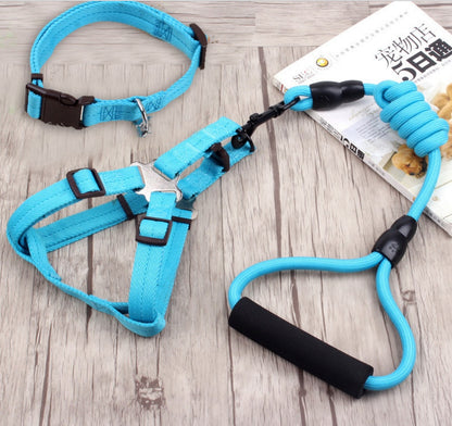 dog chain leash with collar and chest harness