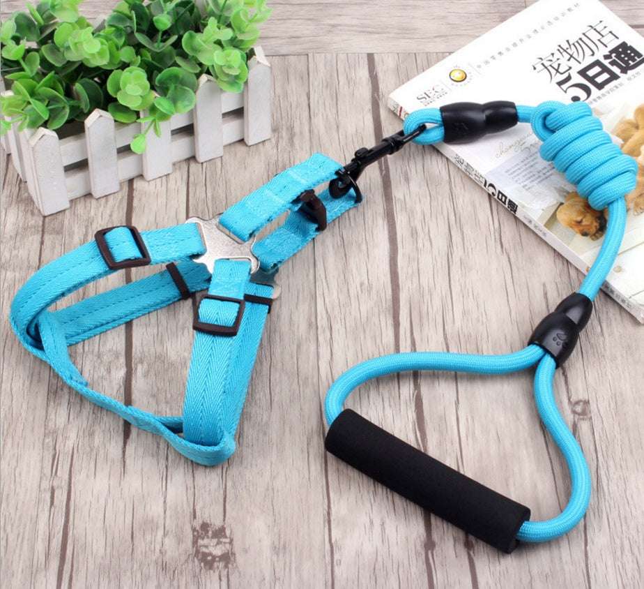 dog chain leash with collar and chest harness