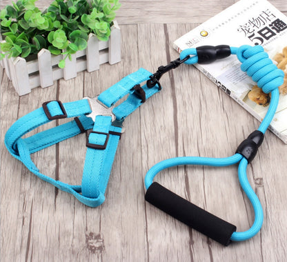 dog chain leash with collar and chest harness