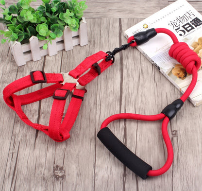 dog chain leash with collar and chest harness