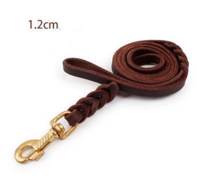 A coiled brown leather dog leash with a gold-colored metal clasp.