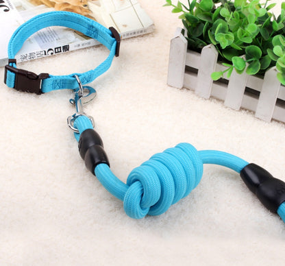 dog chain leash with collar and chest harness