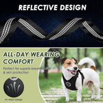 SlowTon Adjustable Dog Car Harness – Breathable Mesh Seat Belt with Elastic Bungee for Small & Medium Dogs