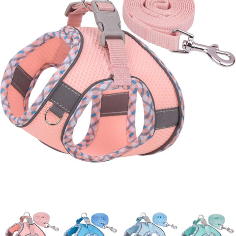 Petank No-Pull Dog Harness & Leash Set – Step-In Vest for Small & Medium Dogs, Walking, Running & Training, Pink (XXS)