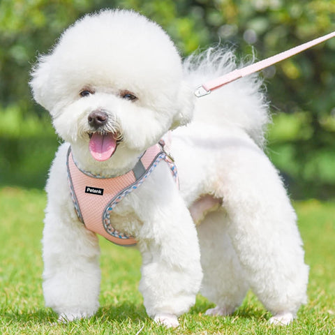 Petank No-Pull Dog Harness & Leash Set – Step-In Vest for Small & Medium Dogs, Walking, Running & Training, Pink (XXS)