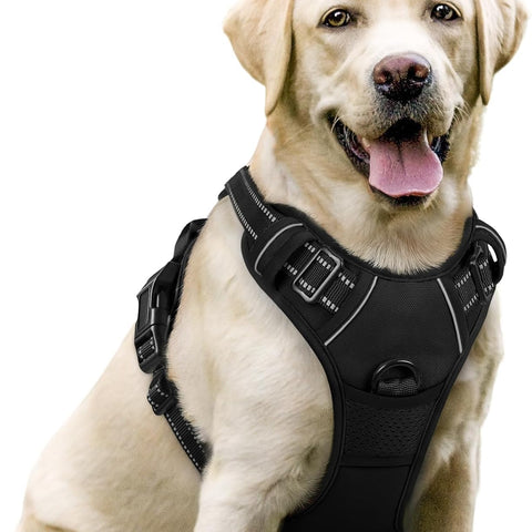 rabbitgoo No-Pull Dog Harness – Adjustable Padded Reflective Vest with 2 Leash Clips & Easy Control Handle for Large Dogs, Black, L
