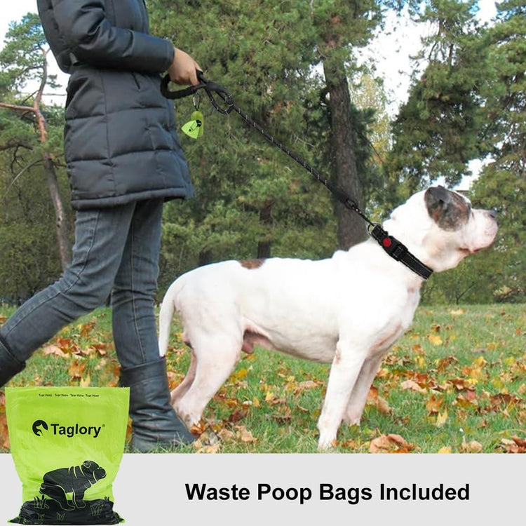 Taglory 6ft Rope Dog Leash – Padded Handle with Reflective Threads for Medium & Large Dogs, ½ inch, Black