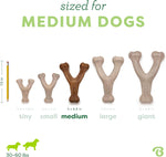 Benebone Wishbone Dog Chew Toy – Durable Bacon Flavor for Aggressive Chewers, Medium, Made in USA