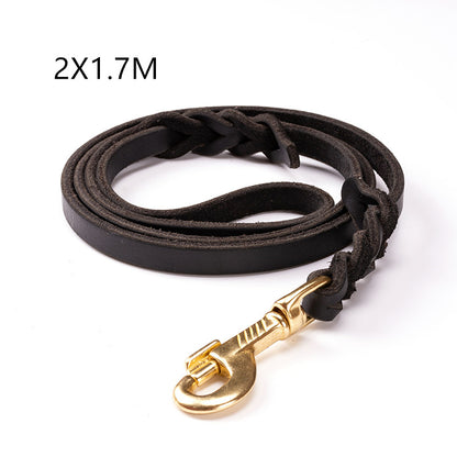 A coiled brown leather dog leash with a gold-colored metal clasp.