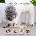 ChefAide 2-Pack Dog & Cat Lick Mats – Slow Feeder with Suction Cups, Anxiety Relief