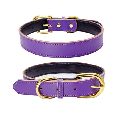 Cowhide leather dog collar with metal buckle