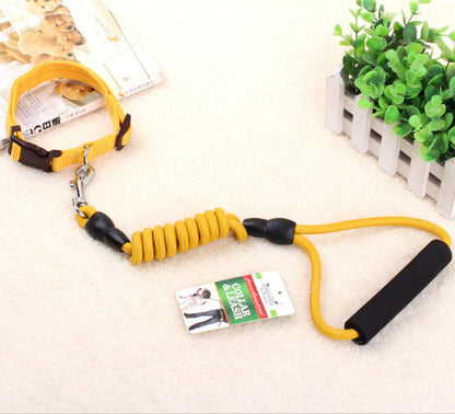 dog chain leash with collar and chest harness