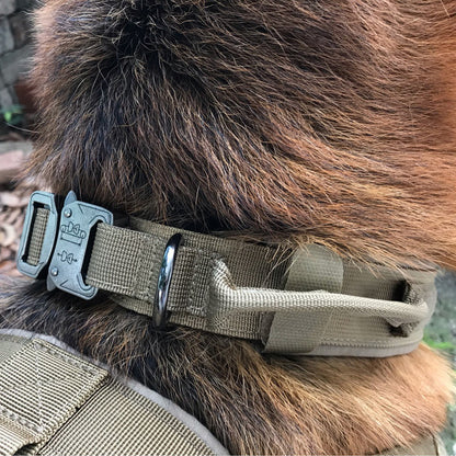 Heavy-Duty Tactical Dog Collar – Adjustable 1000D Nylon Collar with Quick Release Buckle