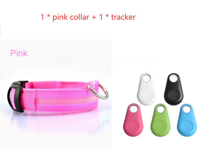 LED light up dog collar with flashing modes