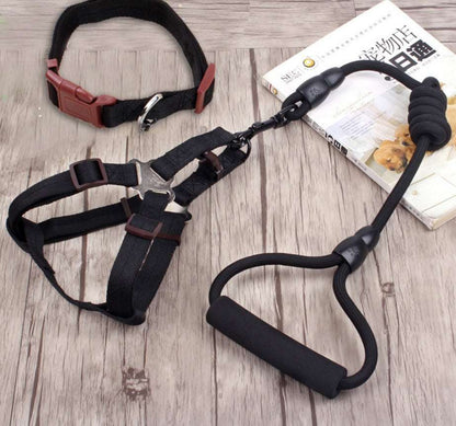dog chain leash with collar and chest harness