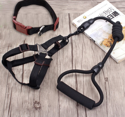 dog chain leash with collar and chest harness