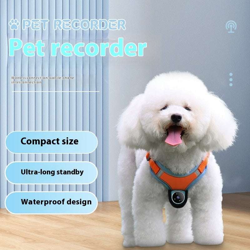 Cat Camera Collar – Motion Recording Pet Collar Camera for Cats & Dogs