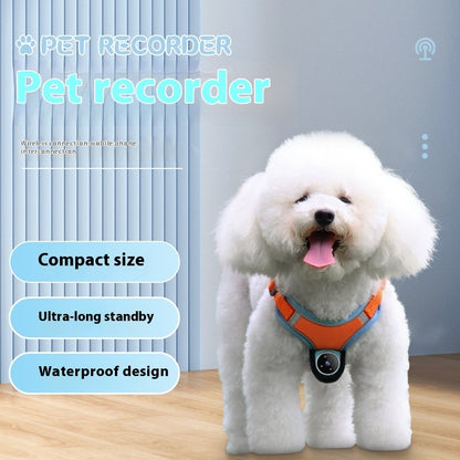 Cat Camera Collar – Motion Recording Pet Collar Camera for Cats & Dogs