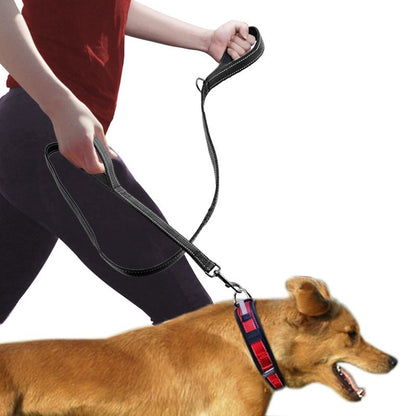 double handle dog leash for pulling dogs