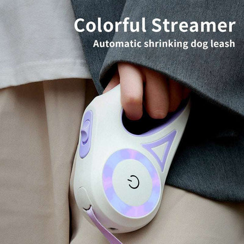 retractable dog leash with built-in LED light and collar