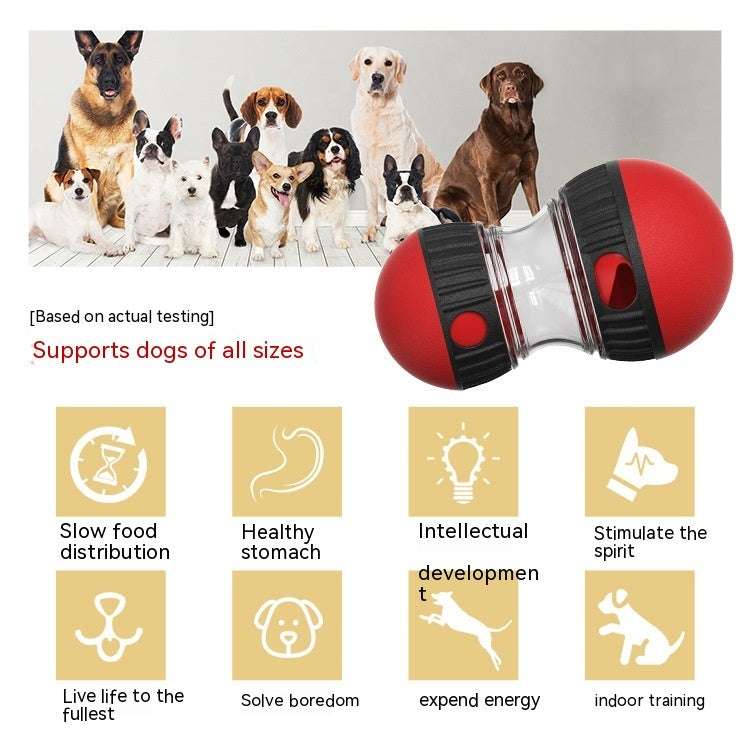 Interactive Food Dispensing Dog Toy – Slow Feeder Puzzle Ball for Mental Stimulation | PetsDrift