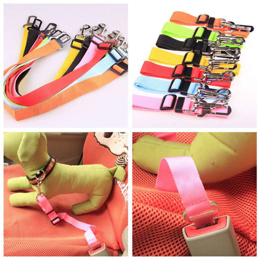 A collection of adjustable car safety belts for dogs in various colors, shown attached to a pet harness and secured in a vehicle seatbelt slot.
