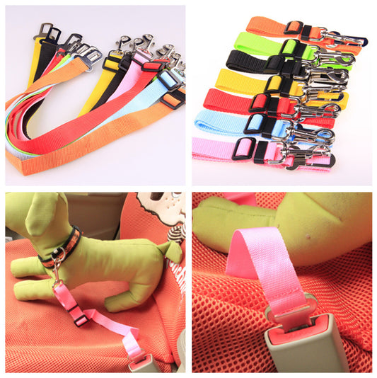 A collection of adjustable car safety belts for dogs in various colors, shown attached to a pet harness and secured in a vehicle seatbelt slot.