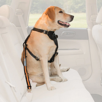 Pet Car Seat Belt